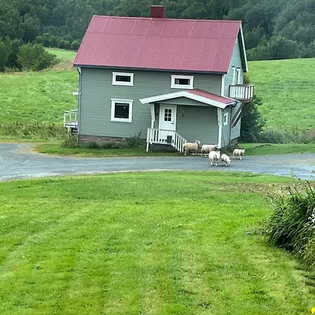 Midt Mellom Tromso Og Senja Tatil Evi