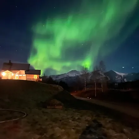Midt Mellom Tromso Og Senja Tatil Evi *