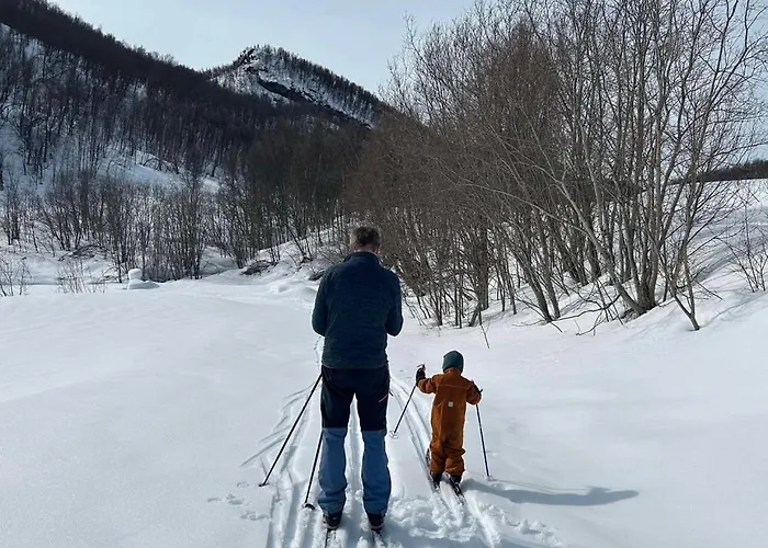 Midt Mellom Tromso Og Senja