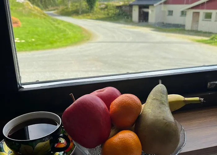 Midt Mellom Tromso Og Senja Tatil Evi